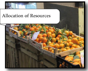 IGCSE Economics Allocation of Resources; Unit 2; CIE Economics